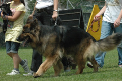 Giughem2011-163
