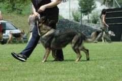 Giughem2011-164