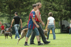 Giughem2011-166