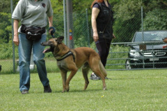 Giughem2011-181
