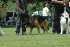 Giughem2011-184