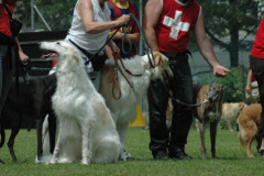 Giughem2011-189
