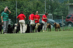 Giughem2011-191