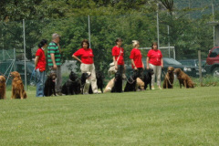 Giughem2011-192