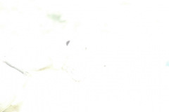 Giughem2011-211