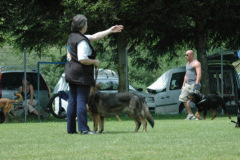 Giughem2011-215
