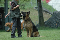 Giughem2011-221