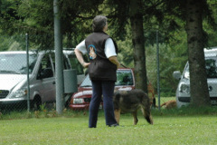 Giughem2011-223