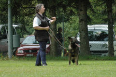 Giughem2011-224
