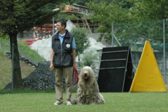 Giughem2011-227