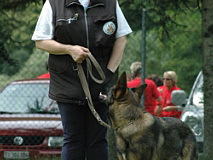 Giughem2011-231
