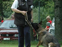 Giughem2011-239