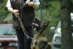 Giughem2011-244
