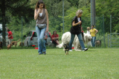 Giughem2011-248