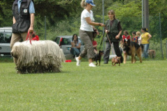 Giughem2011-249