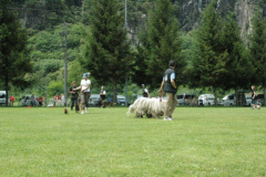 Giughem2011-250