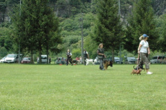 Giughem2011-251