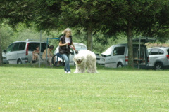 Giughem2011-253