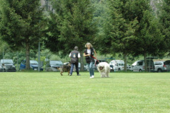Giughem2011-254