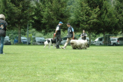 Giughem2011-256
