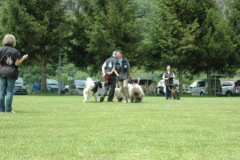 Giughem2011-257
