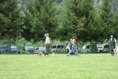 Giughem2011-258