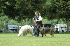 Giughem2011-259