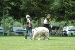 Giughem2011-260