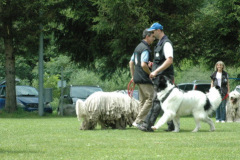 Giughem2011-263