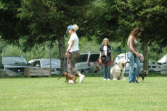 Giughem2011-266