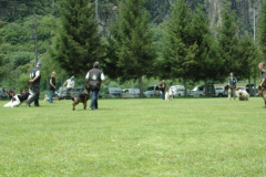 Giughem2011-267