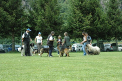 Giughem2011-268