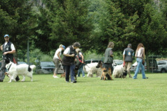 Giughem2011-269