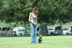 Giughem2011-273