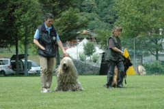Giughem2011-274