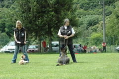 Giughem2011-275