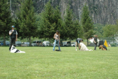 Giughem2011-276