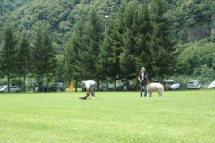 Giughem2011-277