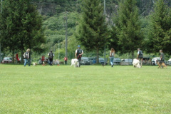 Giughem2011-279