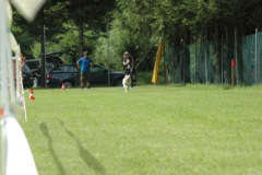 Giughem2011-28