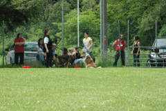 Giughem2011-281