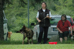 Giughem2011-282