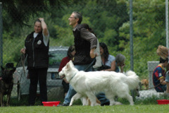 Giughem2011-284