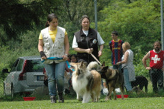 Giughem2011-286