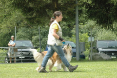 Giughem2011-287