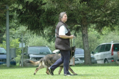 Giughem2011-288
