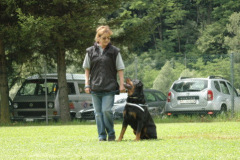 Giughem2011-289