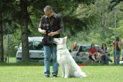 Giughem2011-290