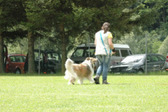 Giughem2011-291
