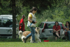 Giughem2011-293